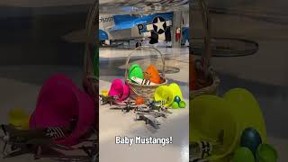 Happy Easter from EAA!