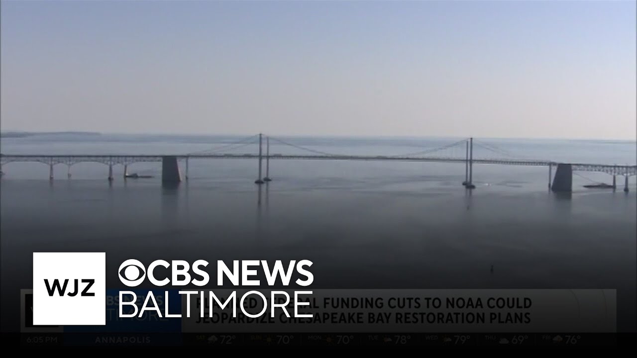 Planned federal funding cuts to NOAA could jeopardize Chesapeake Bay restoration plans