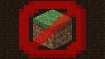 If I touch a grass block in minecraft, the video ends