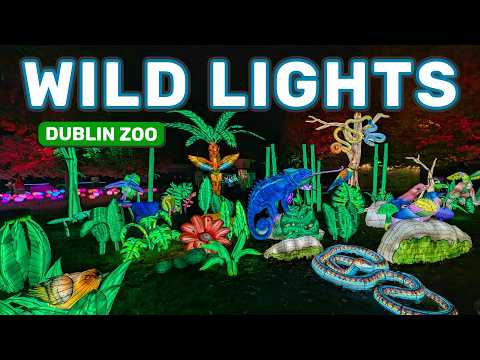 Zoo Lights 2025