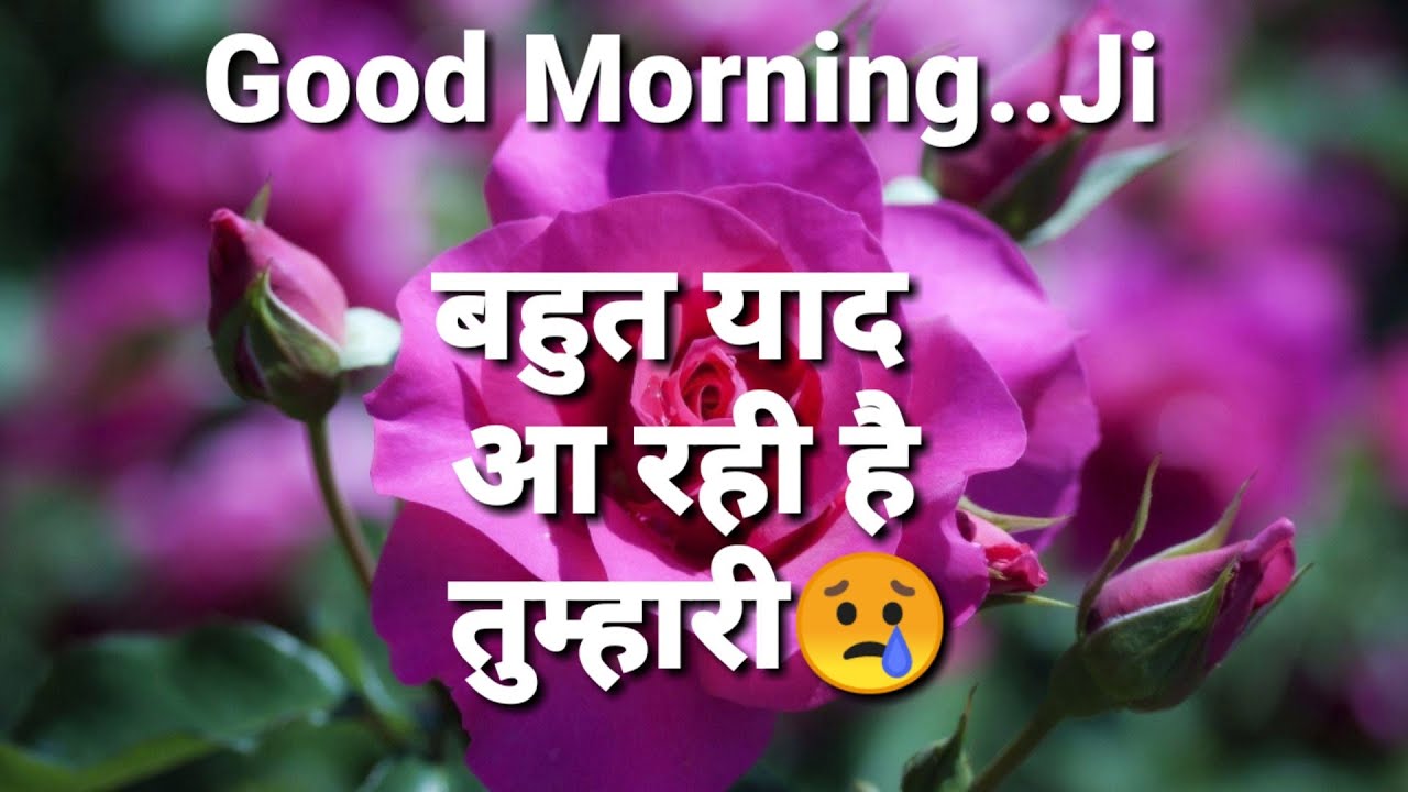 Bahut yaad aa rahi hai tumhari.. Good morning love shayari YouTube