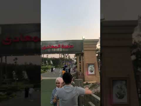 مصر فرح زواج رقص رقاصة اغاني جزيرة المعادي