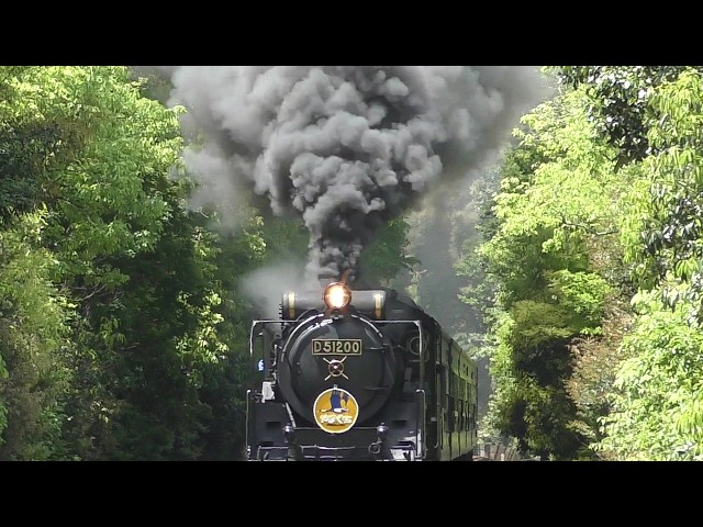 脳が震える】これぞ日本の蒸気機関車。D51が見せた限界突破の爆煙走行