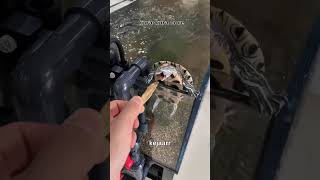 kura kura core #memes #videolucu #meme