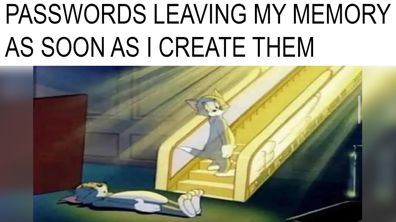 FUNNY DAILY MEMES Vol. 16 😂👍 | HUMOR COMEDY