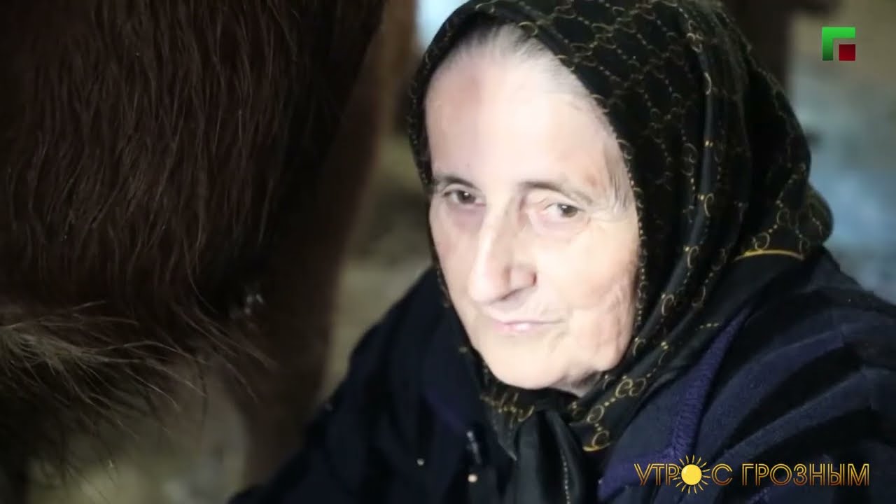 УТРО В ЧЕЧЕНСКОМ СЕЛЕ ЯЛХОЙ-МОХК