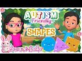 Learn Shapes with Snow &amp; Bella | Autism Friendly Preschool Shapes Video #kidslearning #autism