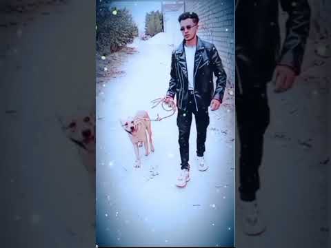 تحياتى للخرجوا برة حياتى