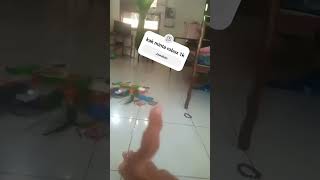 Download Lagu mau robux?. tidak semudah itu farguso MP3