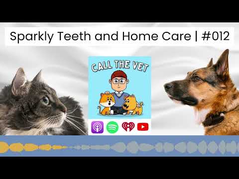 Sparkly Teeth and Home Care | #012