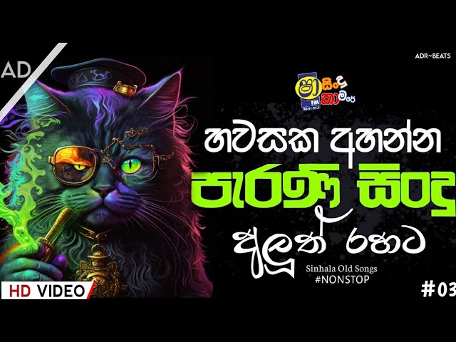 නටමූ කට්ටිය New Hits Sinhala Songs 2024 | TikTok Hits sinhala remix class=