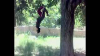 Gulhussain Sarshar Gymnastic