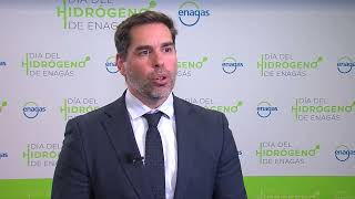 Juan Abascal, De Repsol, En El Día Del Hidrógeno Enagás
