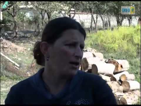 ეკომიგრანტები