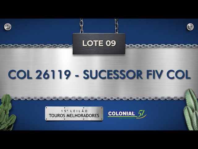 LOTE 09   COL 26119