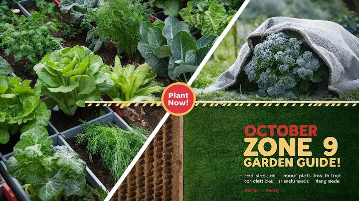 🌱 Zone 9 Planting Calendar | Guide to Successful Gardening in Zone 9 🌱
