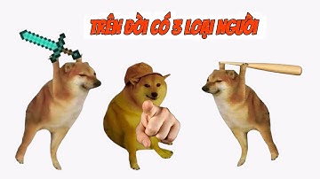 Ding Ding memes: Trên đời có 3 loại người