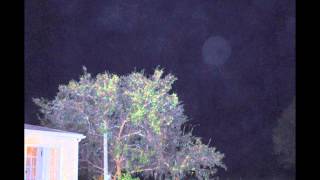 Orbs So Large & Thick This Night In Backyard You Can't Count Them!