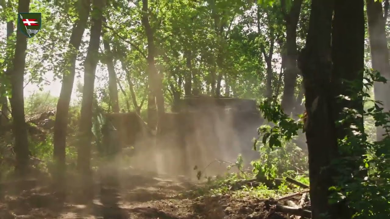 Бойова робота САУ 2С1 "Гвоздика"