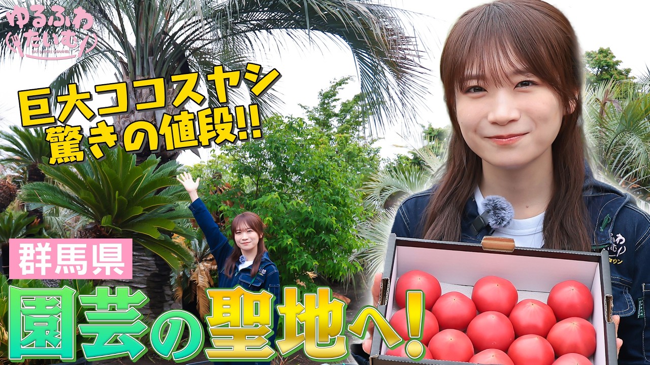 秋元真夏が群馬の園芸の聖地・花木流通センターへ！巨大ココスヤシはおいくら？群馬の誇る高糖度フルーツトマトも！