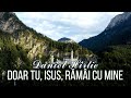 Nou daniel hrtie  doar tu isus rmi cu mine