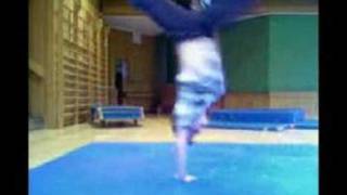 Flex-Holik Trailer 2007 BloodSport Crew Germany