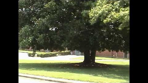 Spreading the barcode