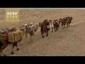 One Belt One Road Documentary Episode One: Common Fate
