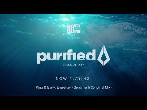 Nora En Pure - Purified Radio Episode 237