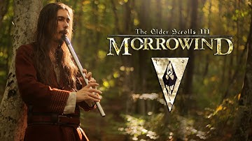 TES III: Morrowind Main Theme - Nerevar Rising - Cover by Dryante