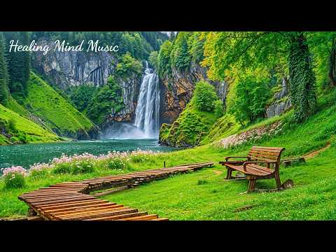 Healing Music for the Heart & Blood Vessels 🌿 Piano Music to Reduce Stress, Anxiety, Depression