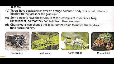 Class 4th Subject Science ch-4 part 3 by ANUJ YADAV SIR 23 7 20