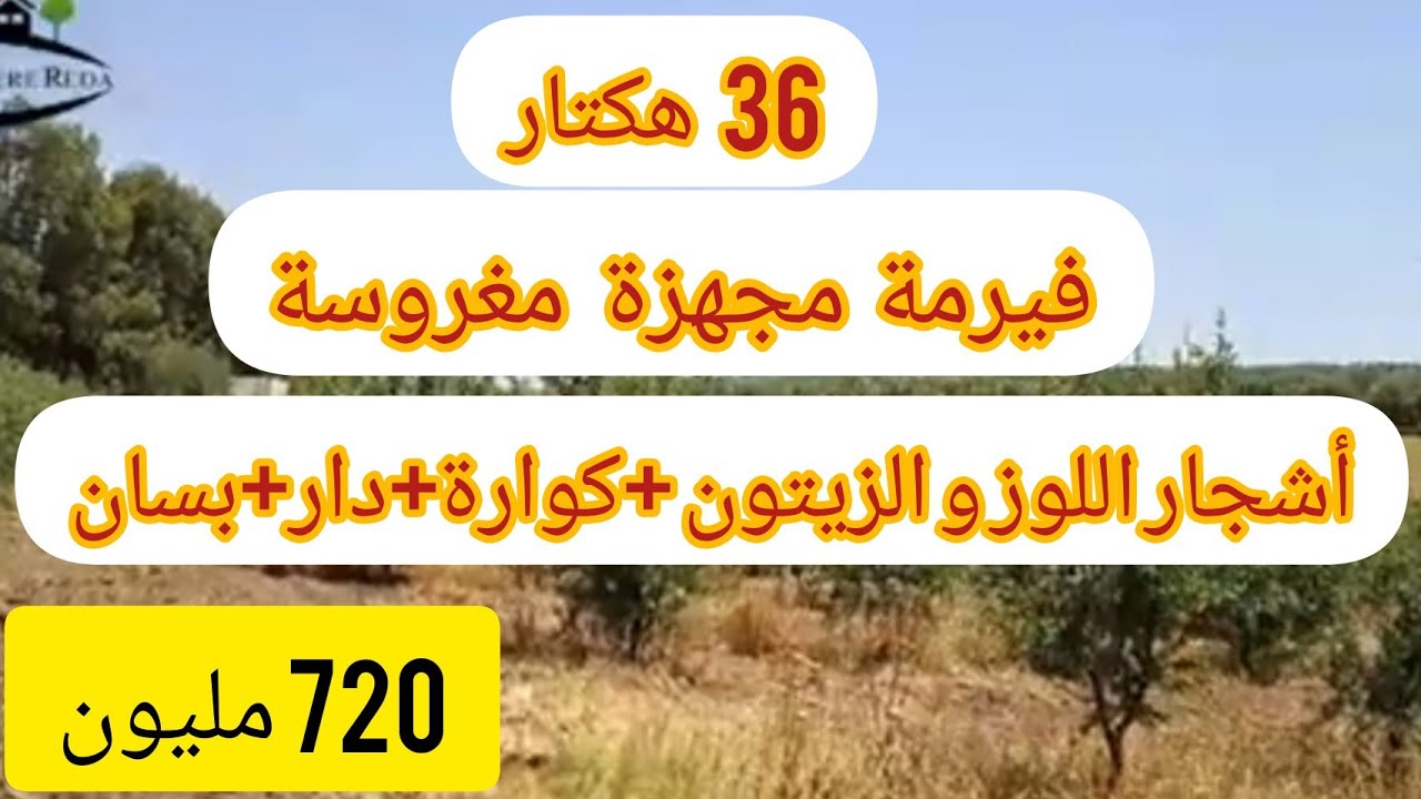 مكناس طريق زرهون فيرمة مجهزة أشجار الزيتون و اللوز و بسان و 2 آبار و دار و كوارة بثمن جد مشجع