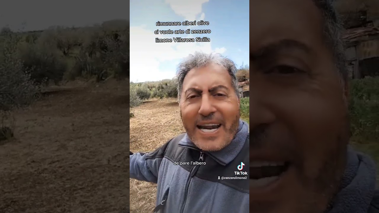 potatura olive da Zenzero limone Villarosa Sicilia auf YouTube ansehen potatura olive da Zenzero limone Villarosa Sicilia auf YouTube ansehen