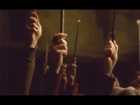 Палочки вверх фото