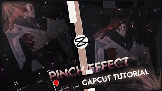 Capcut Pinch Effect Just Like After Effects (AE)