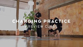 Intermediate & Advanced Yoga Class with Sri Dharma Mittra screenshot 5