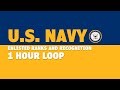 Navy Enlisted Ranks and Recognition (1 hour)