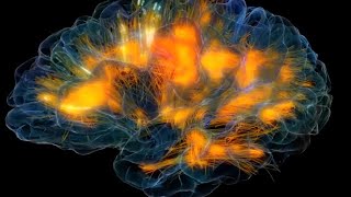 Michael Persinger How Connected Are We?