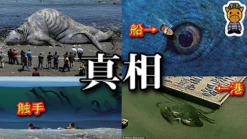 تحميل 深海 生物 ニンゲン تحميل 深海 生物 ニンゲン