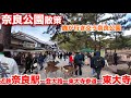 12/26奈良公園散策 近鉄奈良駅〜登大路〜東大寺参道〜東大寺