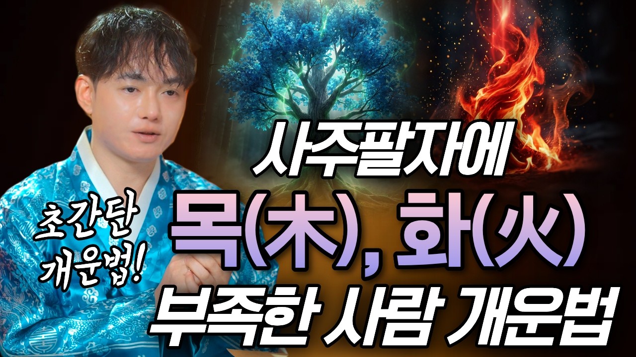 내 사주에 목(木), 화(火)의 기운이 부족하면 이렇게 성공하세요! 초간단 개운법