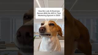 How We Look At Business Owners With No AEO In Their Marketing System in 2026