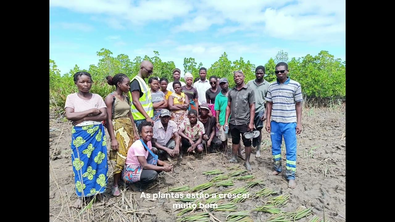 🌿 MozambES - Testimony from the Deus Proverá Savings and Credit Group 🌿