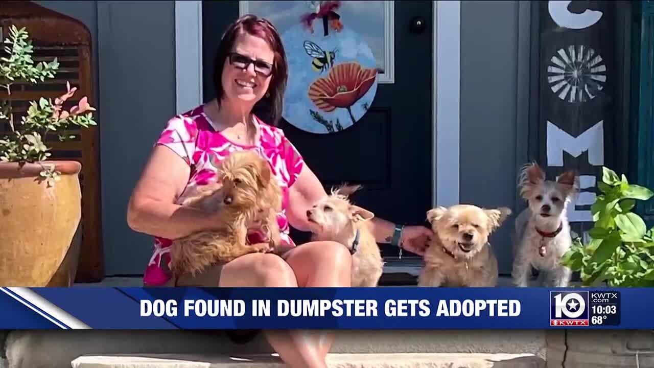 Dog left for dead in Waco, Texas dumpster finds his forever home - YouTube