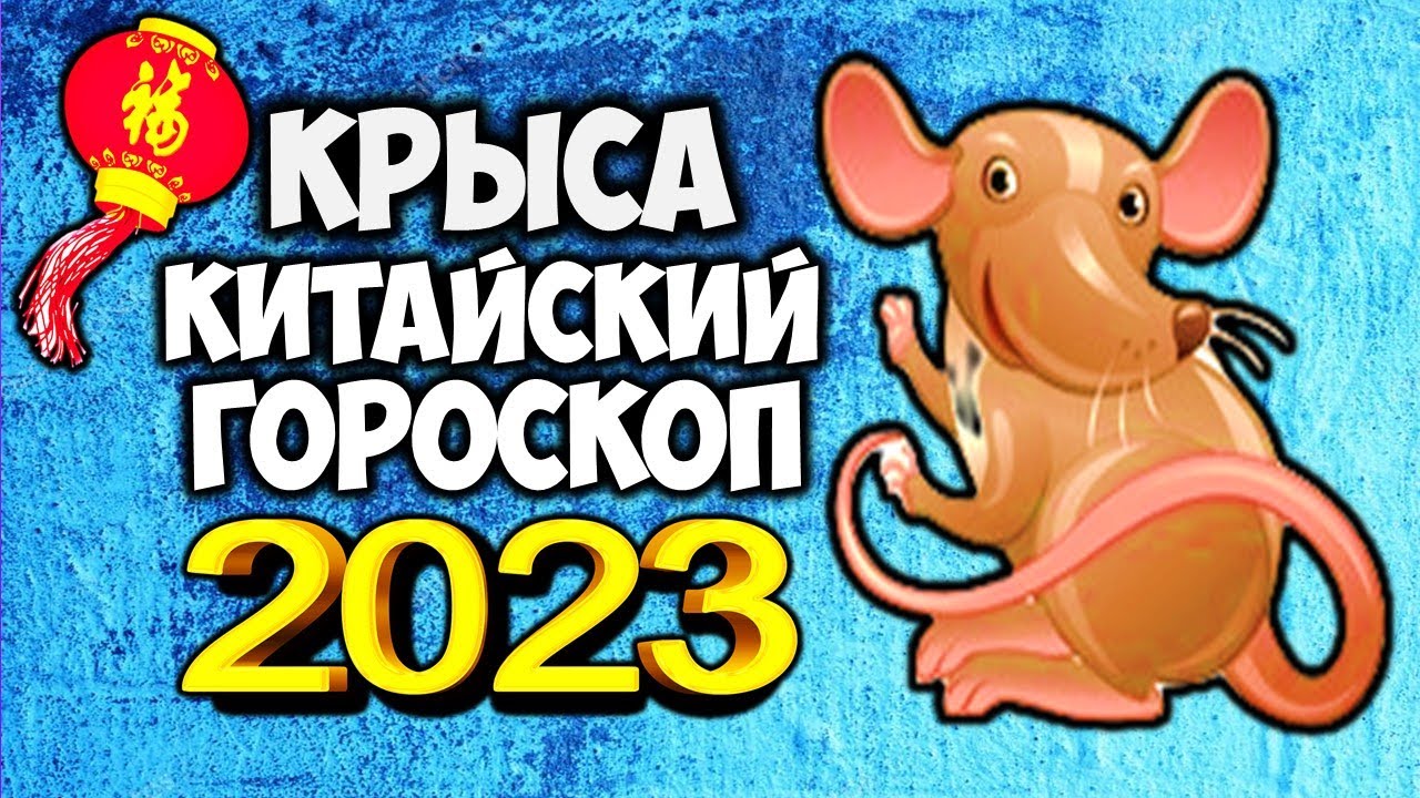 Финансовый Гороскоп Для Крысы На 2023