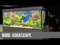 Das größte Aquascape in Österreich?! 1600L Aquarium Hardcore Maintenance | Liquid Nature