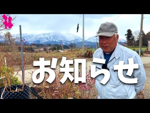 Notice] Progress of seedling sales, soil sales and Hokkaido