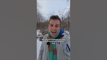 Small talk avoiders show 39% higher engagement when conversations get substantive #introvert