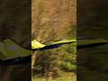 What Happens When Post Stalls Go Wrong #rcplanecrash #rcplane #freewing #aviation